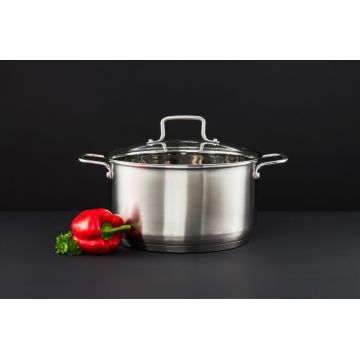 Oala cu capac Hugo, Ambition, 22 cm, 3.5 L, inox AISI 304/sticla, argintiu